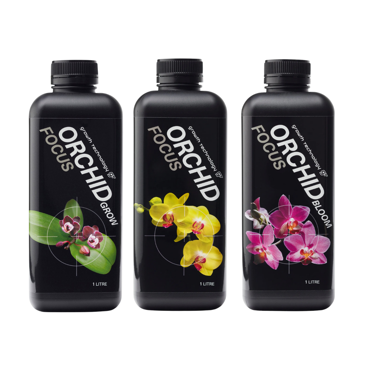 Orchid Glow Trio