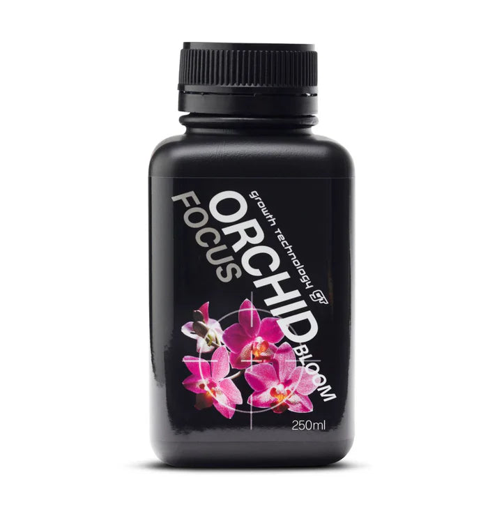 Growth Technology Orchid Bloom Focus