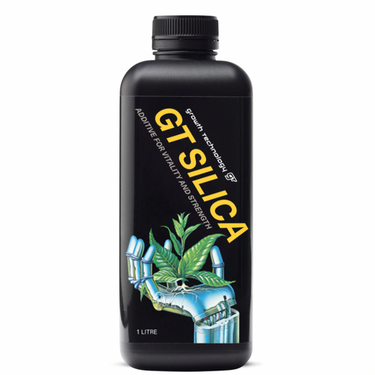Growth Technology Silica