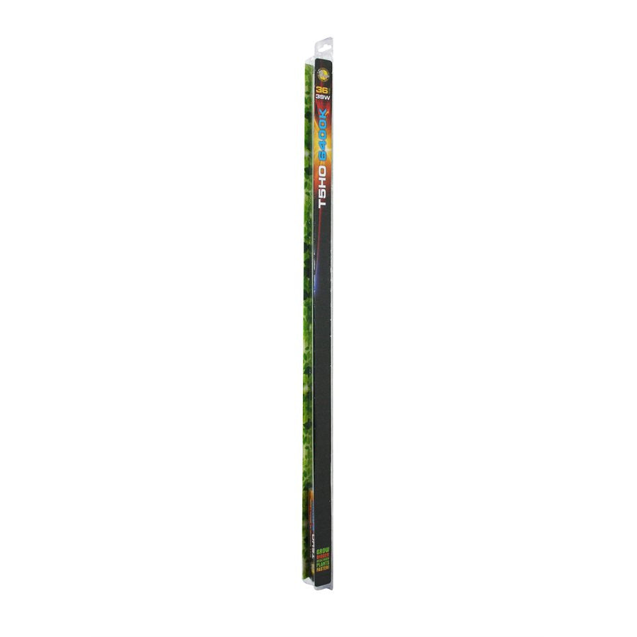 SunBlaster T5 Replacement Neon 6400K (6 Pack)