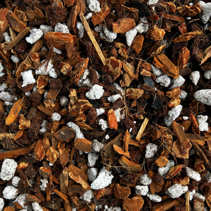 Plant Haven Supply Aroid Mix | Premium Chunky Mix for Tropicals