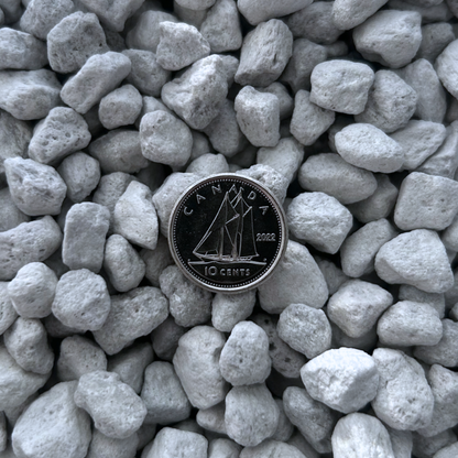Ultra Premium Pumice for Plants