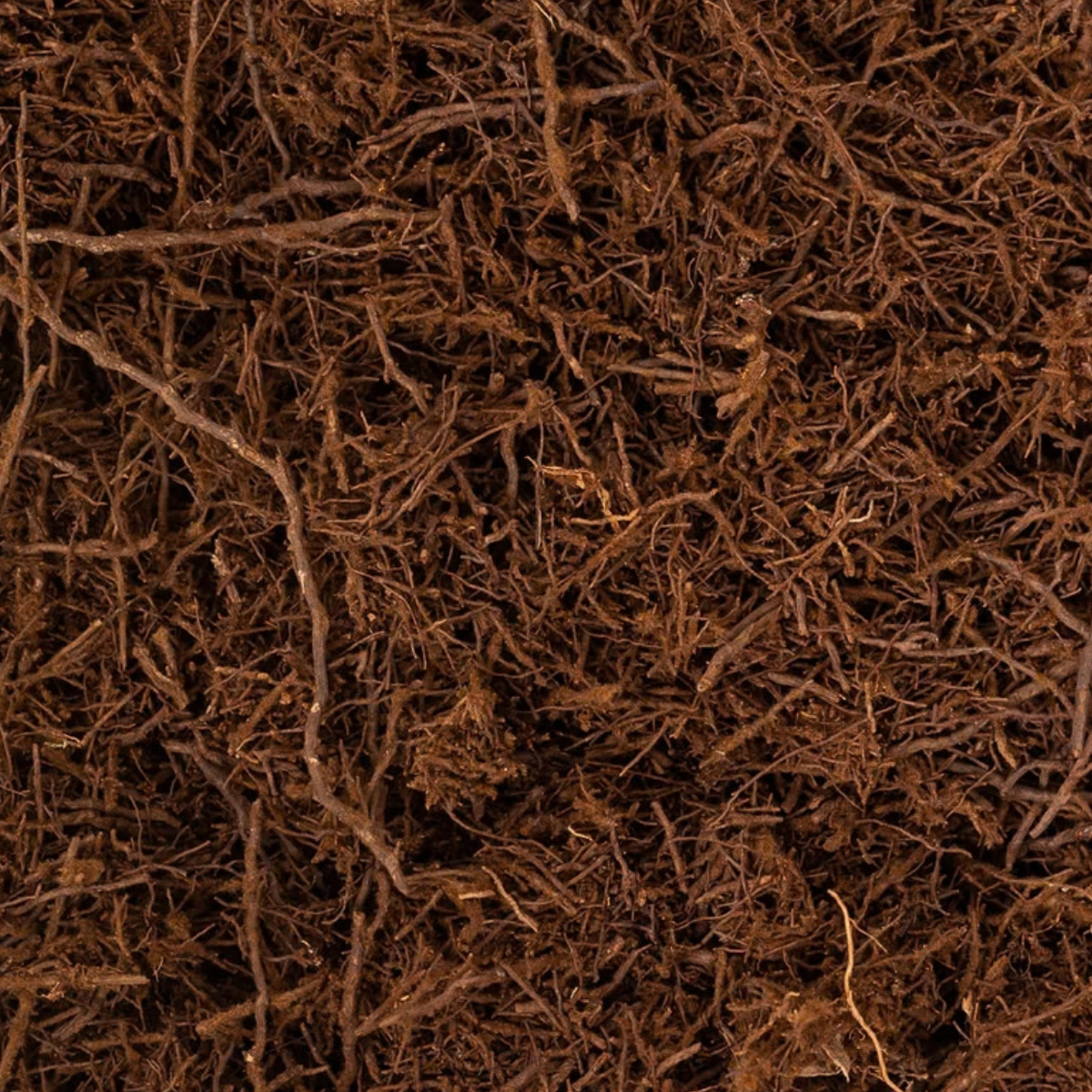 New Zealand Tree Fern Substrate