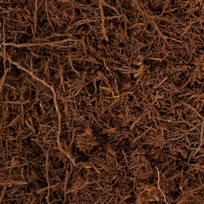 New Zealand Tree Fern Substrate