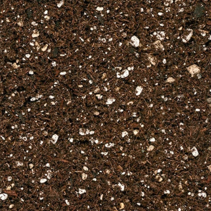 Coco Perlite 70/30