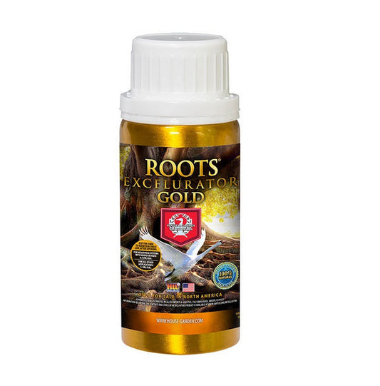 Roots Excelurator Gold
