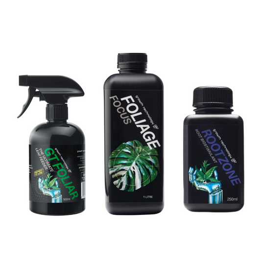 Foliage Power Trio