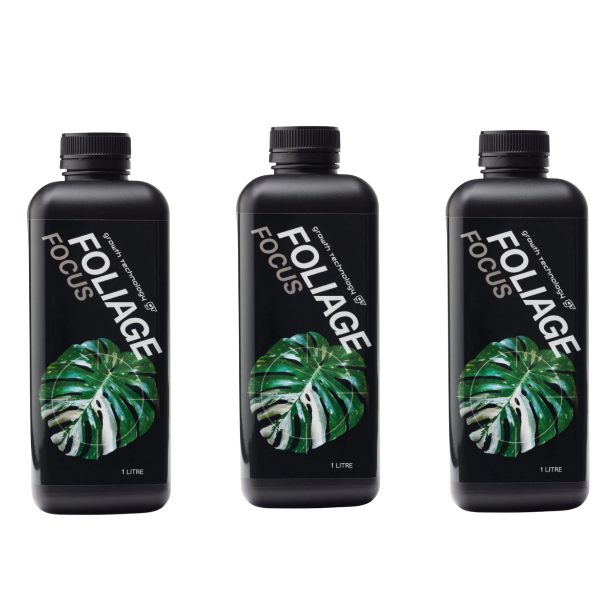 Foliage Focus 3 Pack