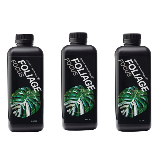 Foliage Focus 3 Pack
