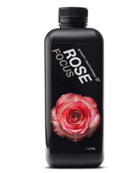 Growth Technology Rose Focus