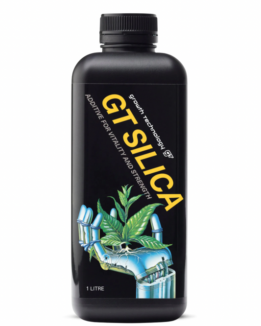 Growth Technology Silica
