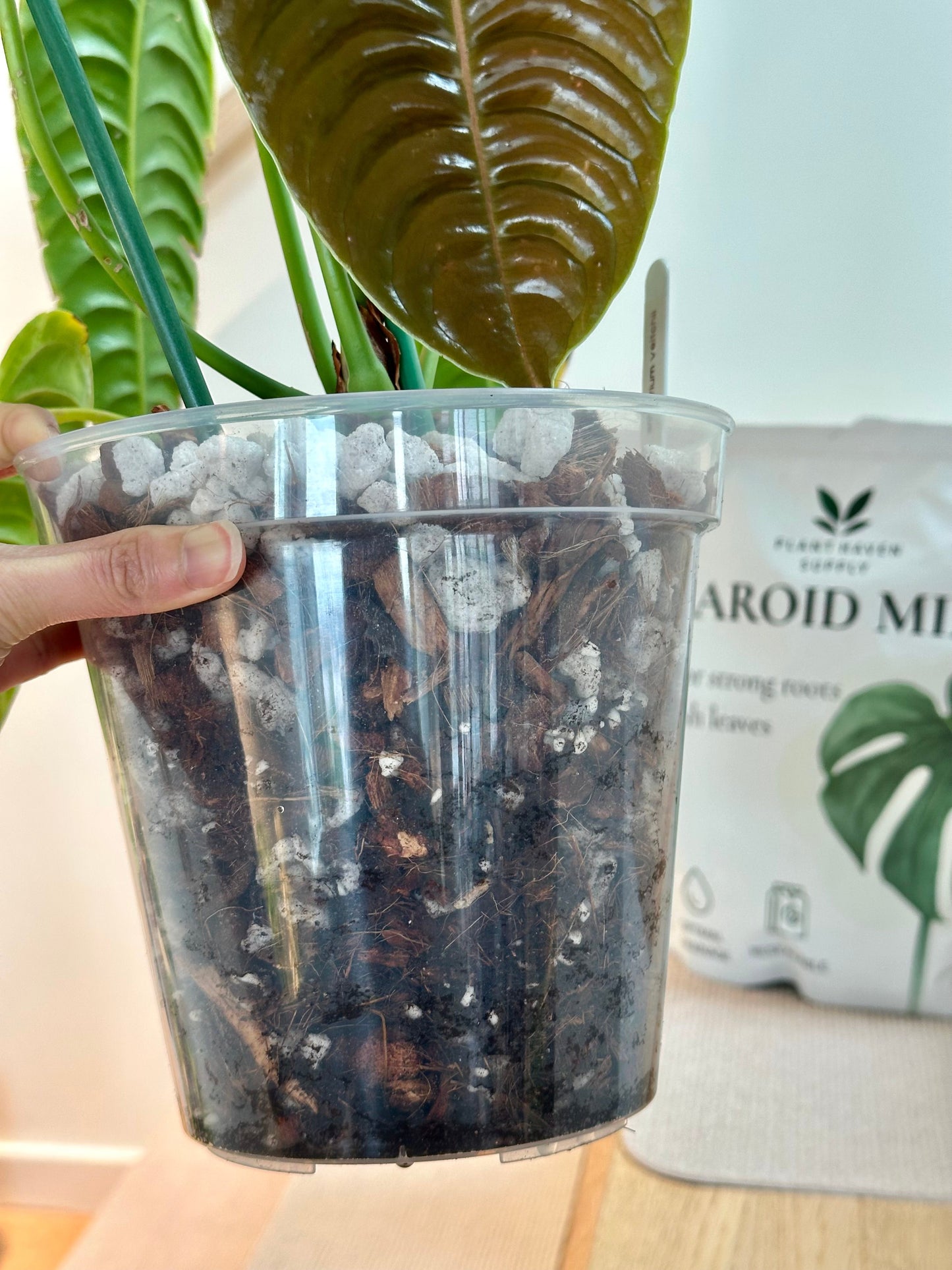 Plant Haven Supply Aroid Mix | Premium Chunky Mix for Tropicals
