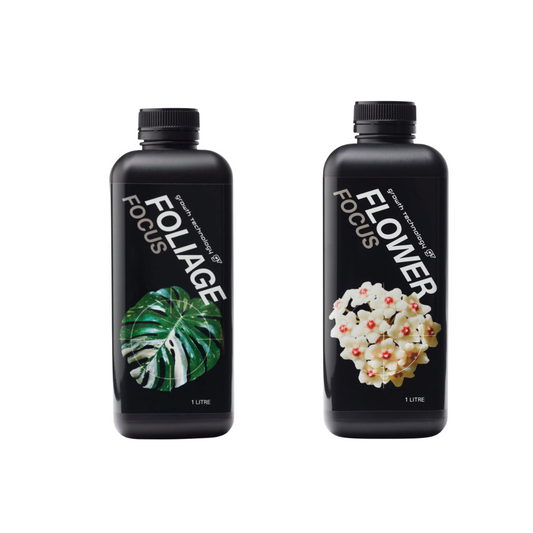 Leaf and Bloom Duo