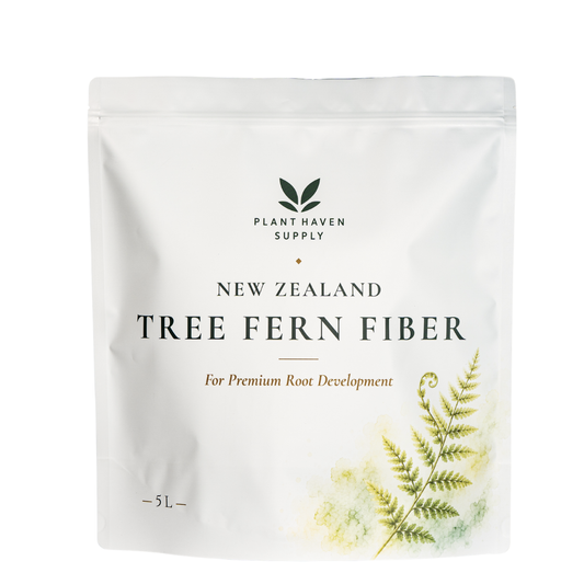 New Zealand Tree Fern Substrate