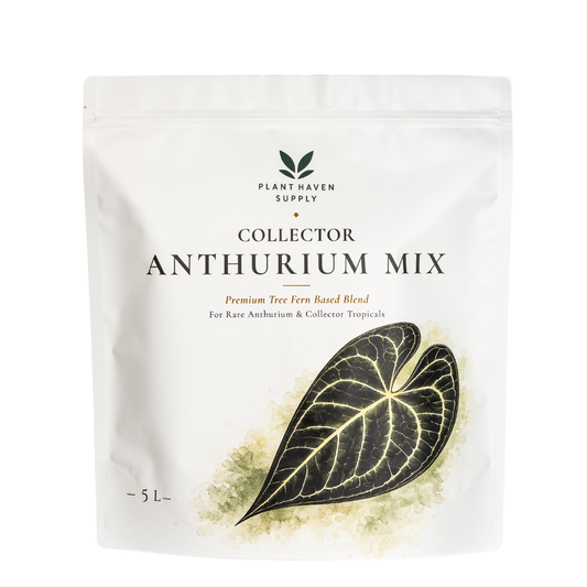 Collector Anthurium Mix | Tree Fern Based Mix