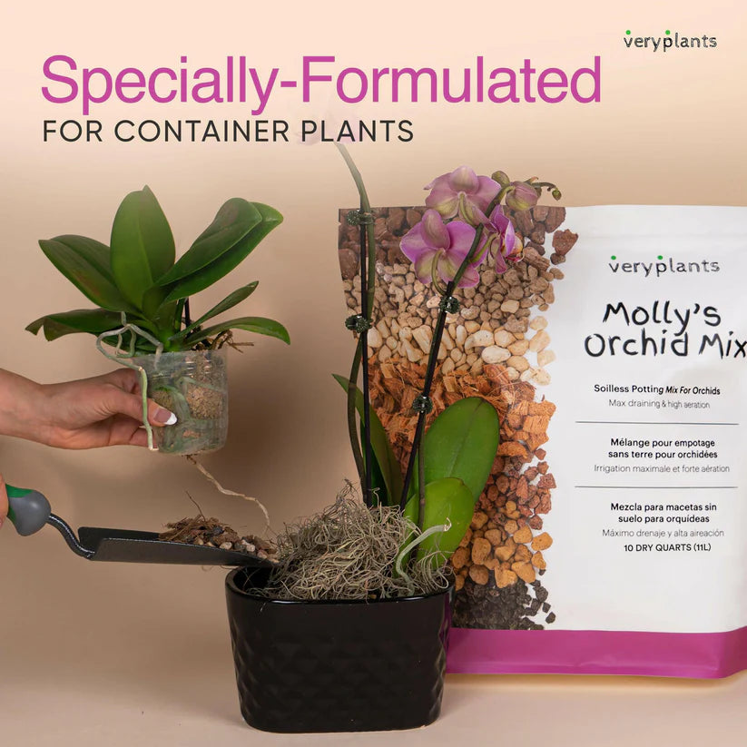 Molly's Orchid Mix