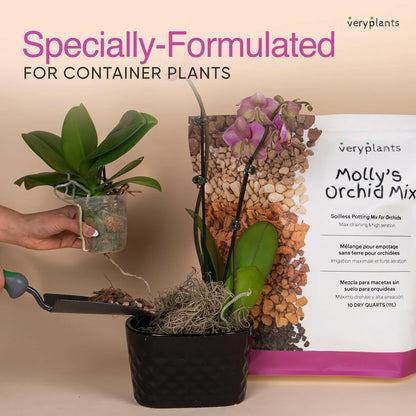 Molly's Orchid Mix